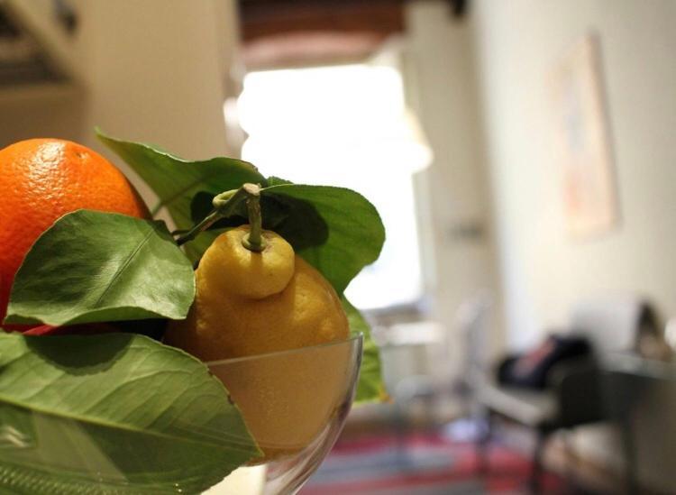 Delicious Santa Croce Apartment Lucca Luaran gambar